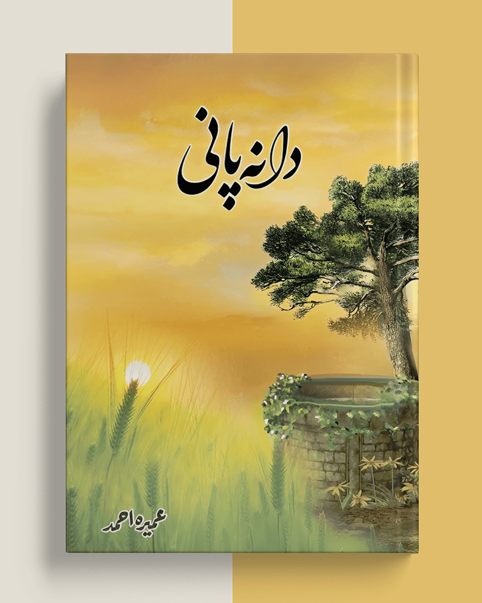 Dil Na Pani Book By Umera Ahmed
